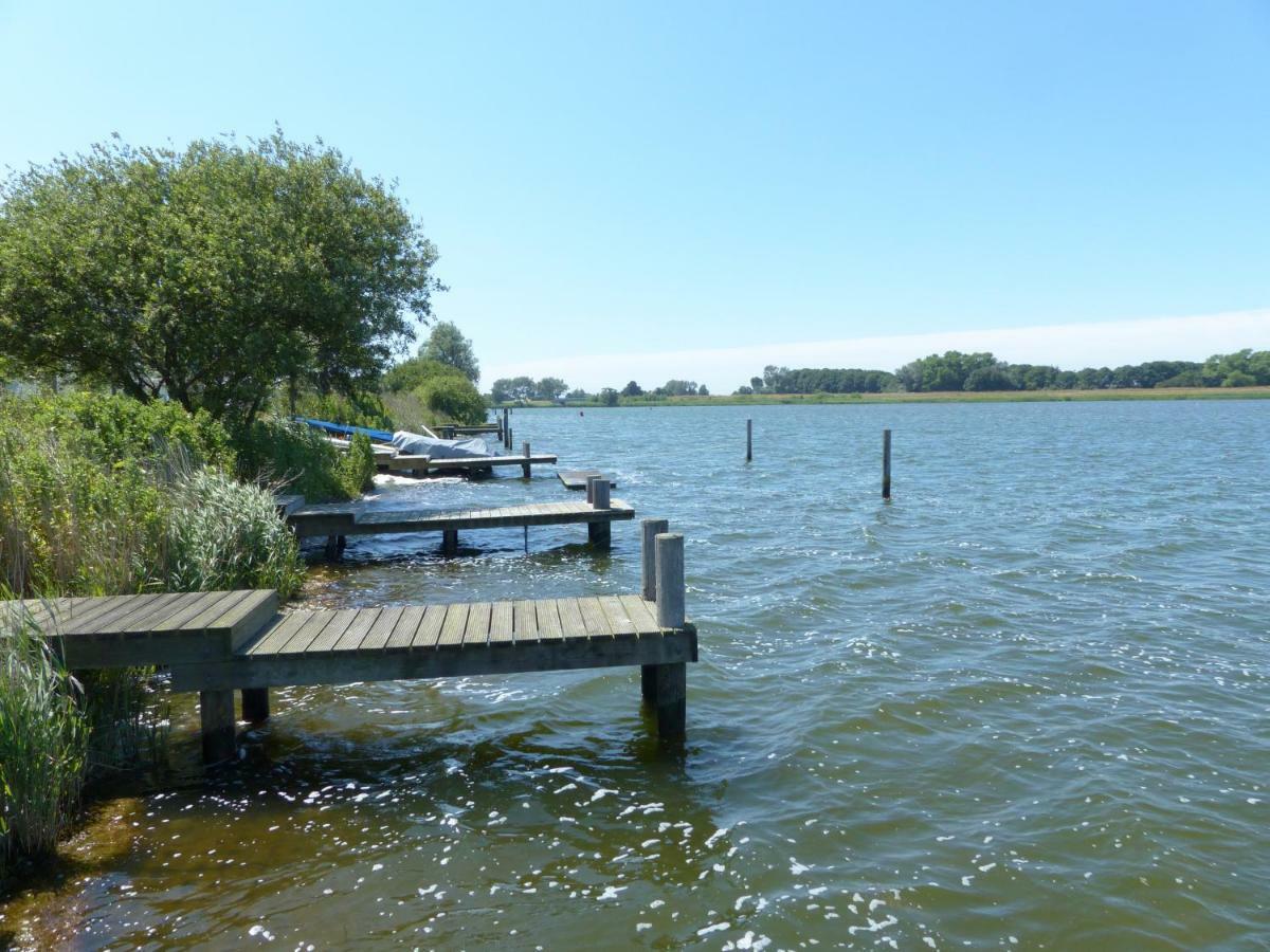 Wierhooft 21 Den Oever Esterno foto